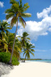 Beach with white sand