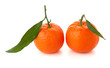 Two ripe tangerines Two ripe tangerines