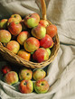 apples in the basket