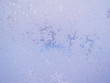 freezing patterns on the glass