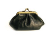 purse with money
