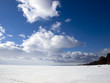 Winter. Lake shore
