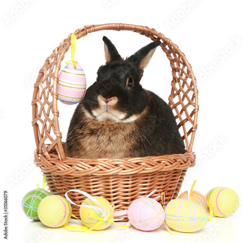 cute easter bunnies and eggs. Cute easter bunny with colored