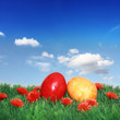 Photo: Schönes Ostern Motiv Schönes Ostern Motiv