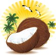 Noce di Cocco con Latte-Coconut with Milk Background-Vector Noce di Cocco con Latte-Coconut with Milk Background-Vector