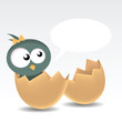 baby bird