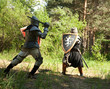 fighting knights