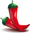 Peperoncino Rosso Piccante -Red Hot Chili Pepper-Vector