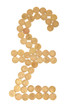 pound sterling