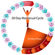 Menstrual Cycle Fertility Chart Menstrual Cycle Fertility Chart