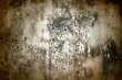 Old wall