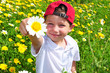 Frühling