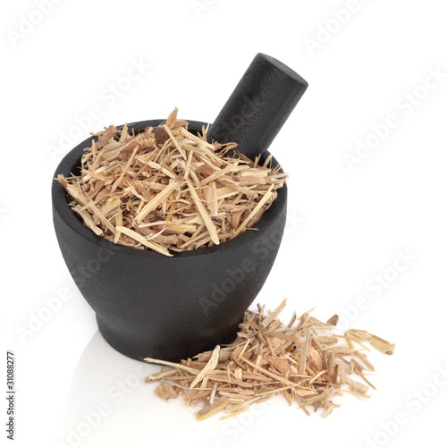 Photo: Ginseng Herb Ginseng Herb