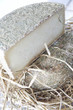 Formaggio pecorino