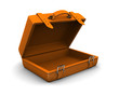 orange travel case