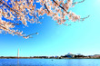 Washington monument and Jefferson memorial Washington monument and Jefferson memorial