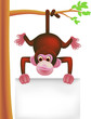 cute monkey and blank symbol cute monkey and blank symbol