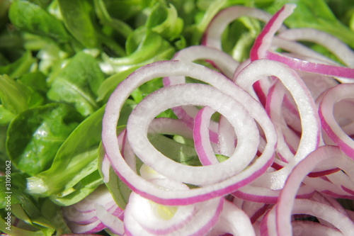 Photo: Rote Zwiebeln im Salat Rote Zwiebeln im Salat