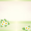 daisy background