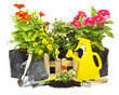 home gardening