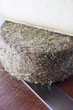 Formaggio pecorino