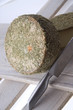 Formaggio pecorino