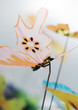 Butterfly decoration