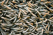 Metal rods, full frame