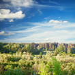 green forest, blue sky green forest, blue sky