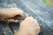 Man whittling piece of bark, cropped view of hands