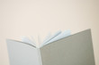 Open book, close-up