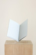 Open book on pedestal, blank pages inside