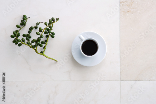 Foto: Coffee cup and olive branch, high angle view Coffee cup and olive branch, high angle view