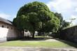st laurent du maroni