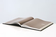 Open book with Roman numeral on page