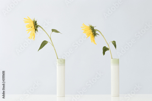 Photo: Yellow flowers in vases, side view Yellow flowers in vases, side view