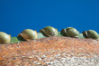 Bóveda con forma de dragón. Casa Batlló, Barcelona