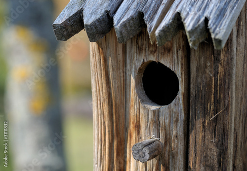 Foto: Vogelhaus Vogelhaus