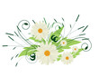 A bouquet of white flowers