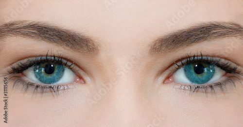 Photo: Blue Eyes Blue Eyes