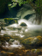 fresh waterfall spring