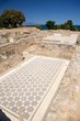 greek house floor
