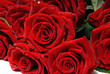 bouquet of rose