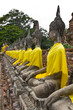 Row of Sacred Buddha images Row of Sacred Buddha images