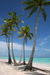 Paradise Beach