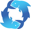 Fish Circle