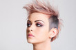 Attractive Young Woman with a Punk Hairstyle Attractive Young Woman with a Punk Hairstyle