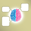 Brain mw