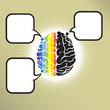 Brain gomo