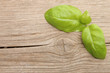basil on old wood basil on old wood